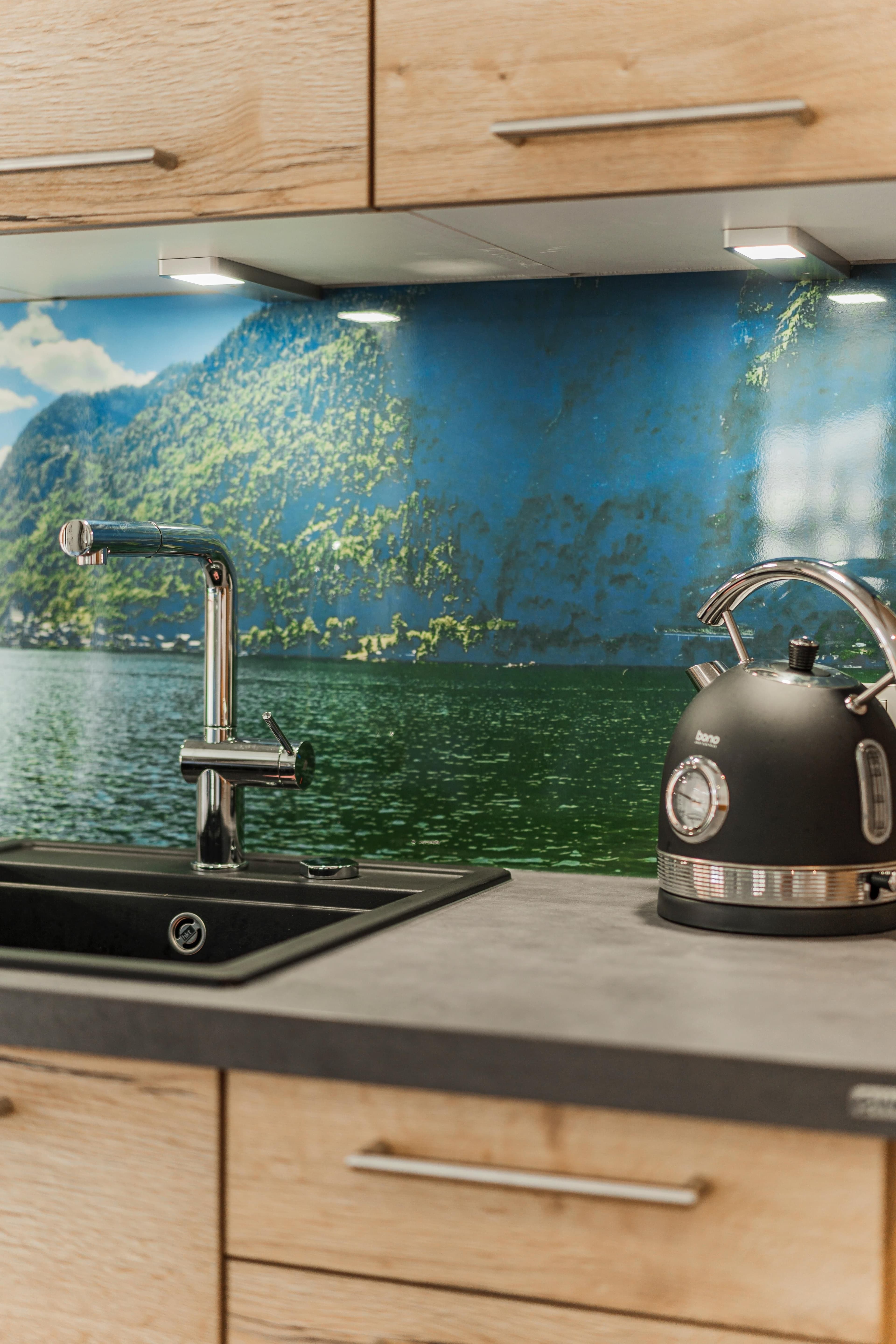 Dachstein West Apartment 1a - 5